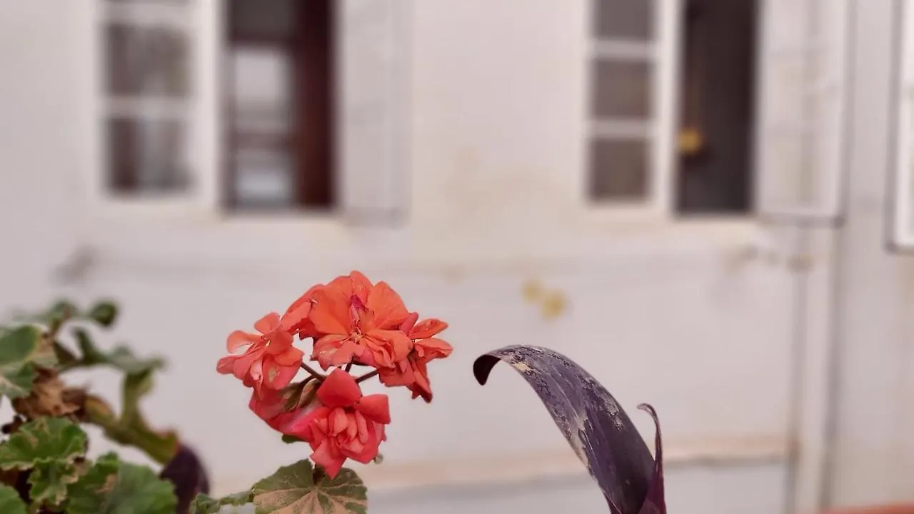 アパート マラガDel Parque Flats Alamos Terrazaアパートメント